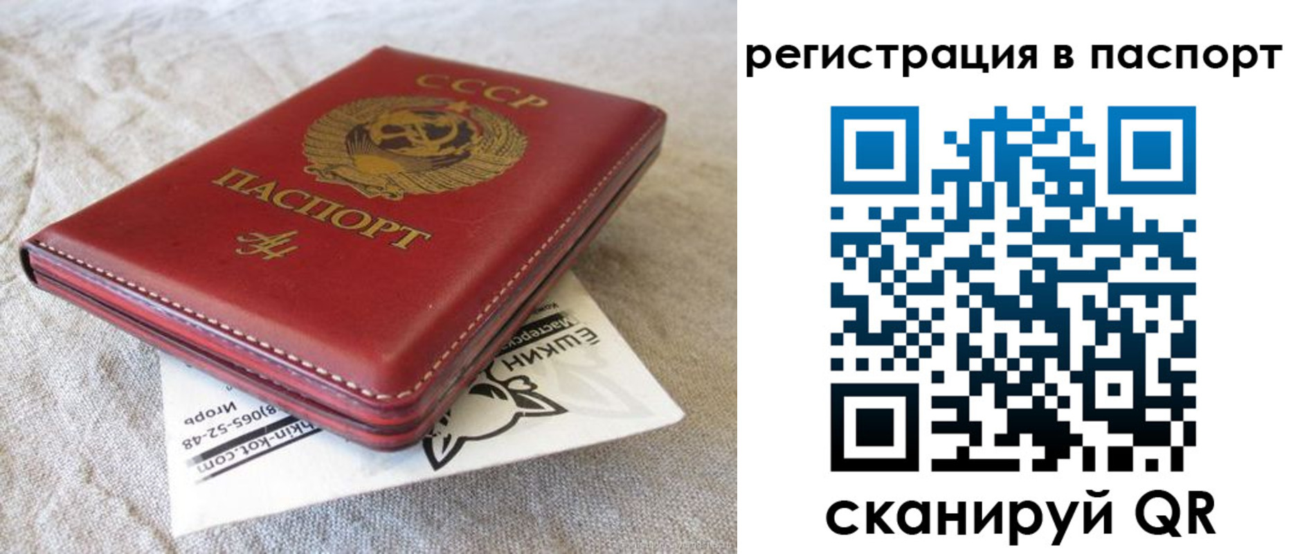 где прописаться в Орехово-Зуево